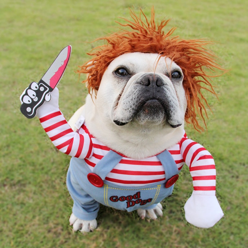 Disfraz de Chucky para Mascotas